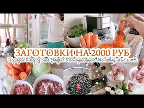 Видео: ЗАГОТОВКИ В МОРОЗИЛКУ НА 2000 РУБЛЕЙ