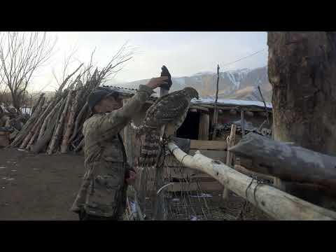 Видео: Элеттик белгилүү мүнүшкөр, мергенчи, ырчы Жумагул Сатылганов