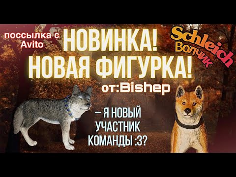 Видео: ПОСЫЛКА С AVITO. Новая фигурка Schleich волк 2008. От Bishep. Новинка