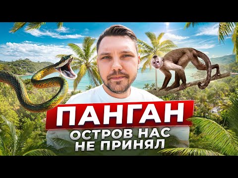 Видео: Остров нас ИСПЫТЫВАЕТ? Жизнь на Пангане | Пробитое колесо, капибары и больница...