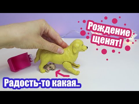 Видео: Набор Demi Star Мой любимый питомец  Джеси со щенками | У собаки рождаются щенки | Уход за щенками