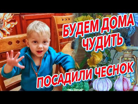 Видео: БУДЕМ ДОМА ЧУДИТЬ  ПОСАДКА ЧЕСНОКА  ЗЕЛЁНЫЕ ЩИ