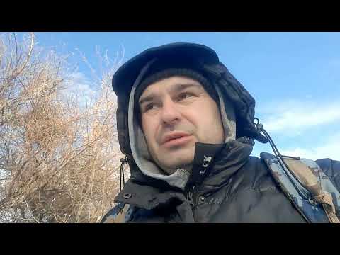 Видео: проверка петель на зайца и  два схода
