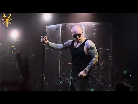 Видео: Заточка - Белый (Sherwood pub 06.04.2025)