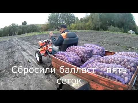 Видео: Мотоблок со старта вгрызается в землю!