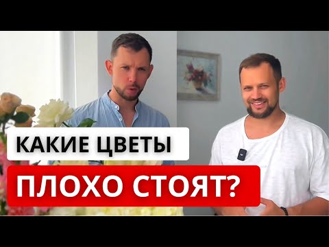 Видео: 💥 НЕ СТОЙКИЕ ЦВЕТЫ! Какие цветы плохо стоят дома? Особенности, плюсы и минусы нестойких цветов.