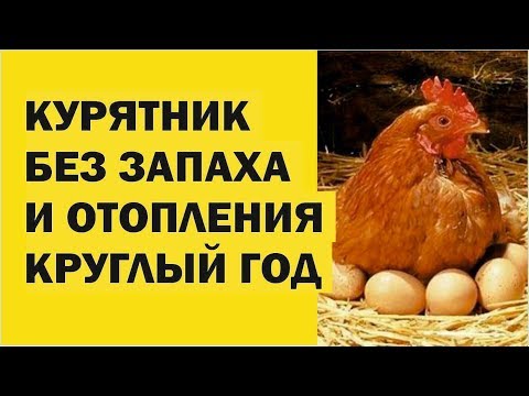 Видео: Подстилка с бактериями BioSide Отзыв о работе бактерий