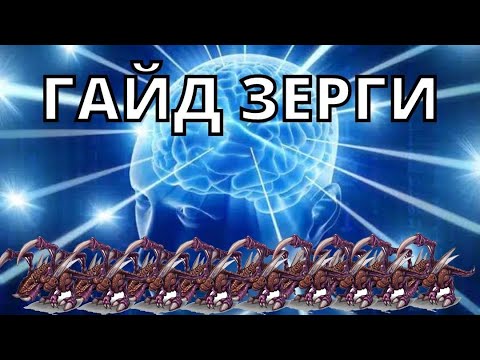 Видео: ГАЙД ЗЕРГИ Чизы: БейлингБаст и ДронРаш  гайд Зерги Starcraft 2