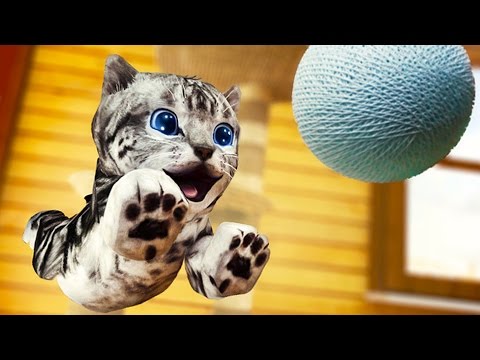 Видео: Играем в СИМУЛЯТОР КОШКИ #1 Приключение котят с Кидом на #ПУРУМЧАТА