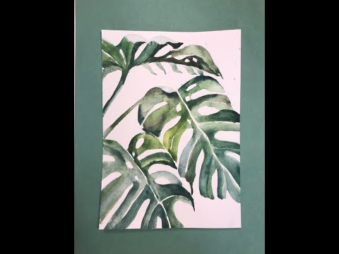 Видео: Монстера акварелью. Ботаническая иллюстрация