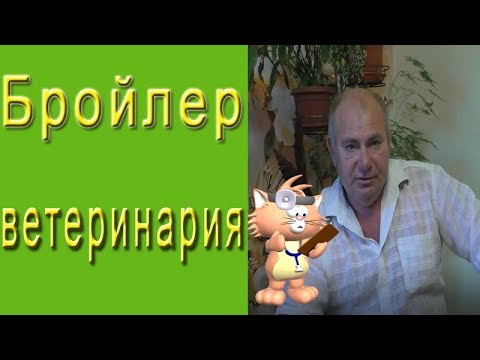 Видео: Ветеринарный аспект выращивания бройлеров