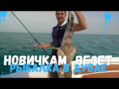 Видео: Рыбалка с новичками в Дубае