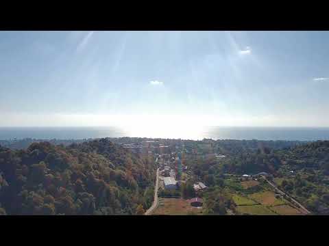 Видео: Полёт над родником в Ботанике