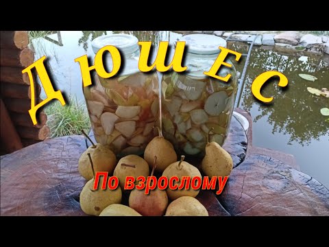 Видео: Настойка из Груш.Охрененннная!!!!!