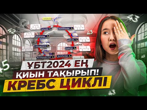 Видео: ҰБТ2024 ең қиын тақырып! Кребс циклі