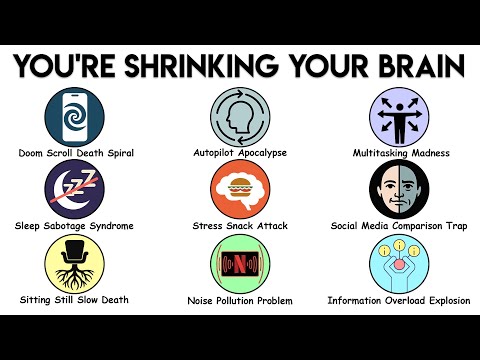 Видео: Каждая ежедневная привычка, уменьшающая ваш мозг, объясняется за 8 минут