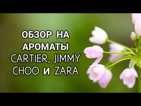 Видео: Обзор ароматов Cartier, Jimmy Choo и Zara