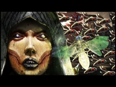 Видео: MKX | Как делать Brutality за D'Vorah.