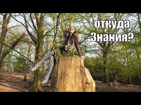 Видео: Мой Путь в Магию | Фред Тмагелиеа
