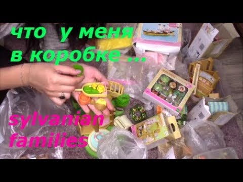 Видео: Показываю что в коробке Sylvanian Families.