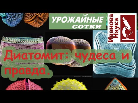 Видео: Разбор полетов. Диатомит: какой бывает и какого следует избегать.