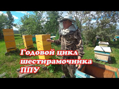 Видео: ГОДОВОЙ ЦИКЛ ШЕСТИРАМОЧНИКА ППУ от БИНЕНХАУСА, СНОВА ДЕЛАЕМ ОТВОДОК НА МАТОЧНИК
