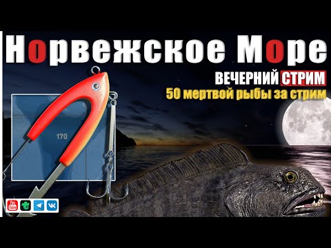 Видео: Вечерний СТРИМ • Рыбалка на мертвую рыбу • Начало в 18:00 МСК • Норвежское Море • Русская Рыбалка 4