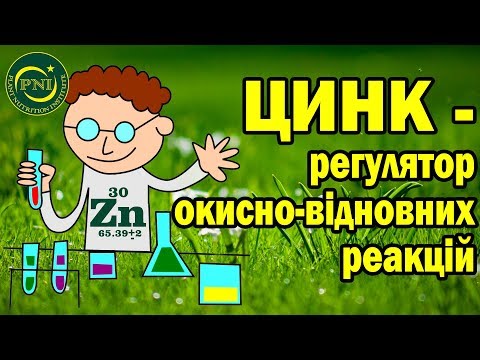 Видео: Цинк і живлення рослин: функції, дефіцит, добрива, способи внесення