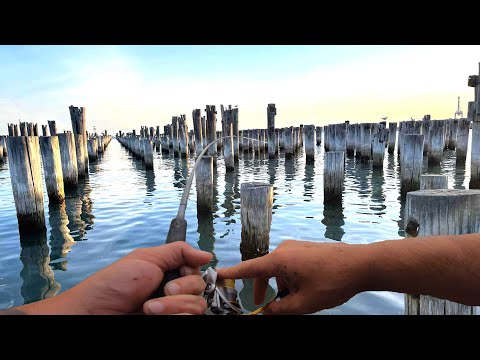 Видео: Наша рыбалка приняла дикий оборот!