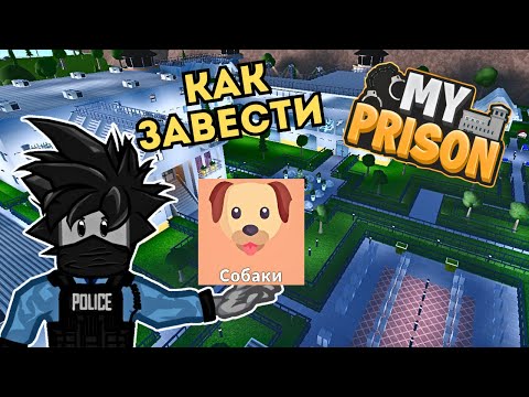 Видео: Как Завести собаку в Моя тюрьма Роблокс My Prison Чейз Play