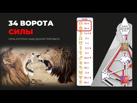 Видео: Поле силы || 34 ворота || Дизайн Человека - Лившиц Лев