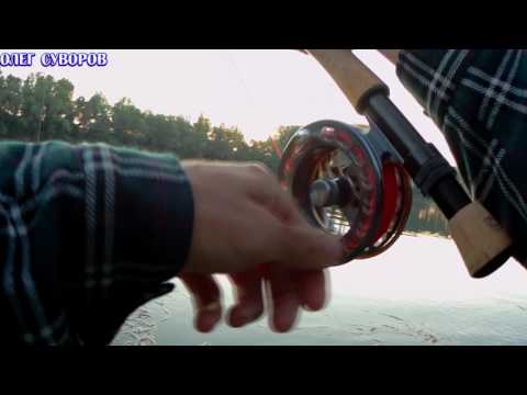 Видео: Усач? Крупный голавль нахлыстом.