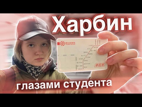 Видео: ХАРБИН: обзор от студента по обмену (Влог №1)