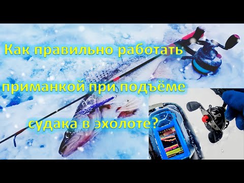 Видео: КАК ПРАВИЛЬНО РАБОТАТЬ ПРИМАНКОЙ ПРИ ПОДЪЁМЕ СУДАКА В ЭХОЛОТЕ