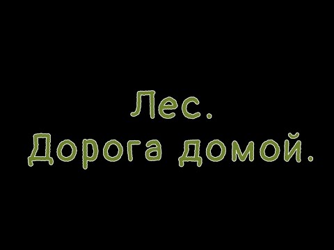 Видео: Поход через лес.
