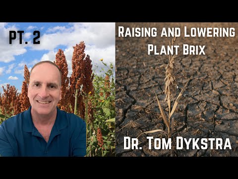 Видео: Доктор Том Дайкстра | Повышение и понижение индекса Брикса, часть 2