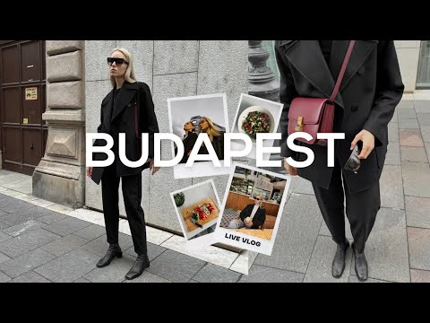 Видео: ВЕСЕННИЙ ВЛОГ | СУМКА CÉLINE | ИДЕАЛЬНЫЙ ЖАКЕТ | МОЯ РУТИНА | ШОПИНГ ZARA | ЧТО Я ЕМ