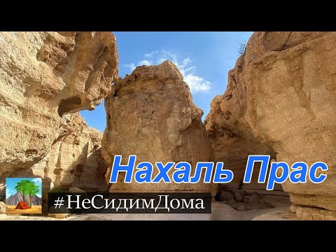 Видео: Путешествия по Израилю. Нахаль (ручей) Прас