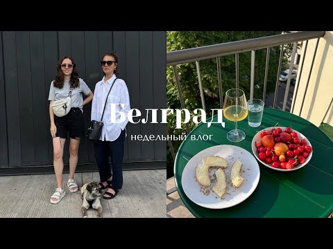 Видео: Белградский влог I первые дни лета и жизнь в новой квартире