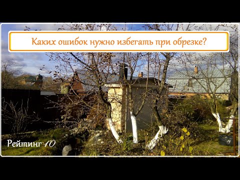 Видео: Обрезка сада - основные ошибки