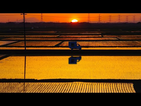 Видео: Самодельный грузовик-кемпер в деревне. Рисовые поля на закате.