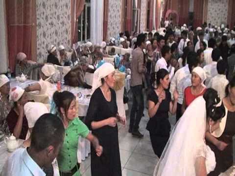 Видео: Шумкар 17