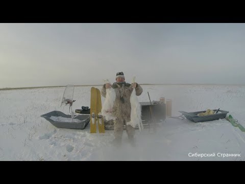 Видео: Удачно закрылись по зайцу. Ураган Тайга  повышенной проходимости