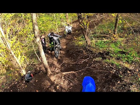 Видео: Мишкино утро. 