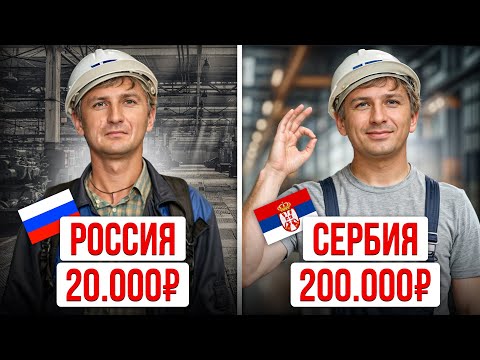 Видео: Где работать приезжему в Сербии? ЛУЧШИЕ ниши для высокого заработка