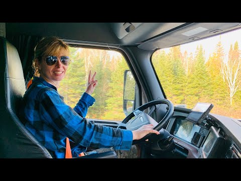 Видео: Бритиш Колумбия и обезбашенный мишка