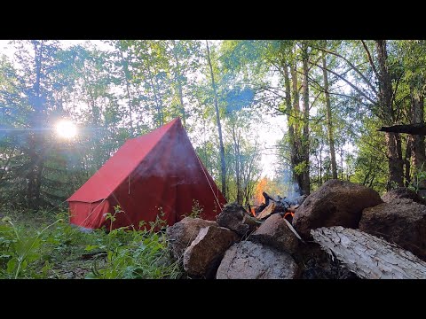 Видео: Ночевка в тайге | Мясо на углях | Якутия!!!