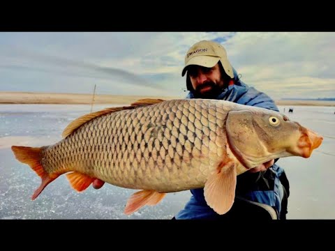 Видео: ТАКОГО РОЗРИВА Я НЕ ЧЕКАВ, САЗАНИ ПРУТЬ ОДИН ЗА ОДНИМ, Трофейна рибалка на САЗАНА