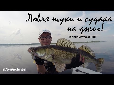 Видео: Ловля щуки и судака на спиннинг. Джиг на Волге.