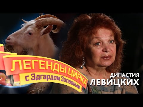 Видео: Легенды цирка с Эдгардом Запашным — Династия Левицких